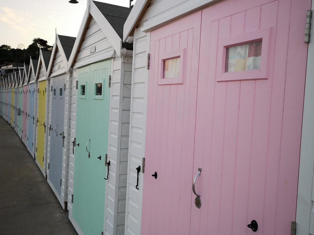 Westwood Guest House & Whole House Let主图