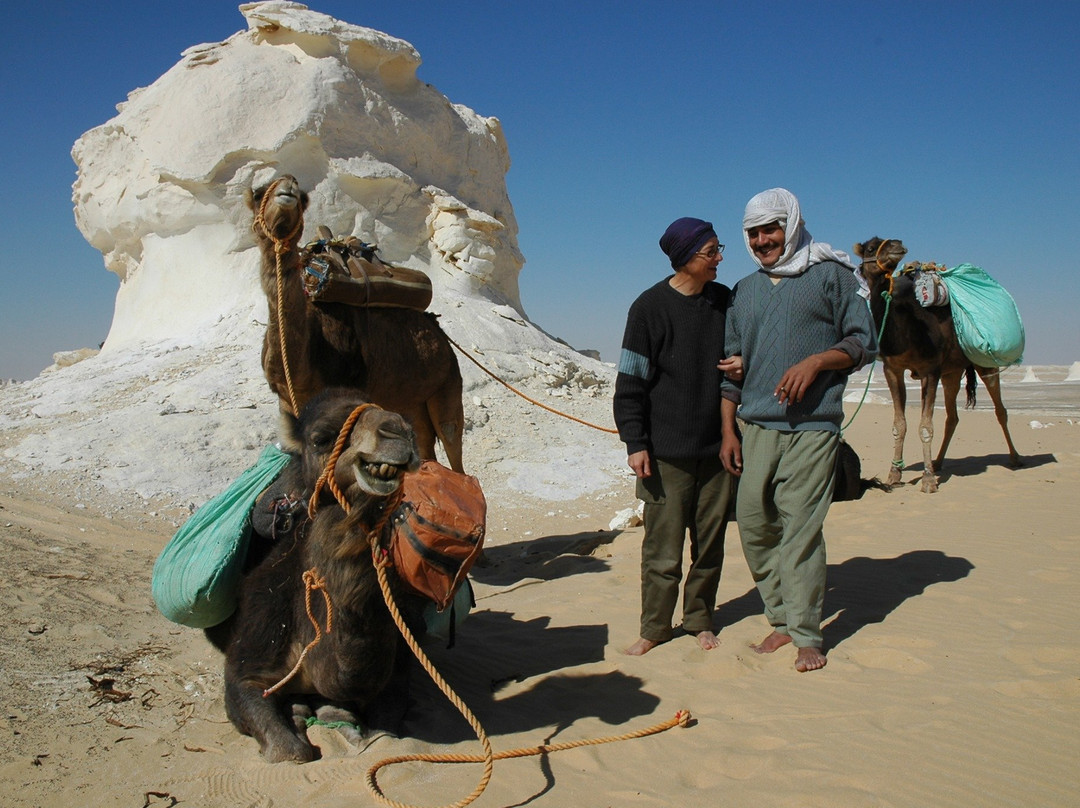 Safari Egypt-吉萨必去景点