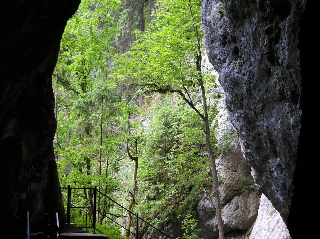 Apuseni Natural Park景点图片