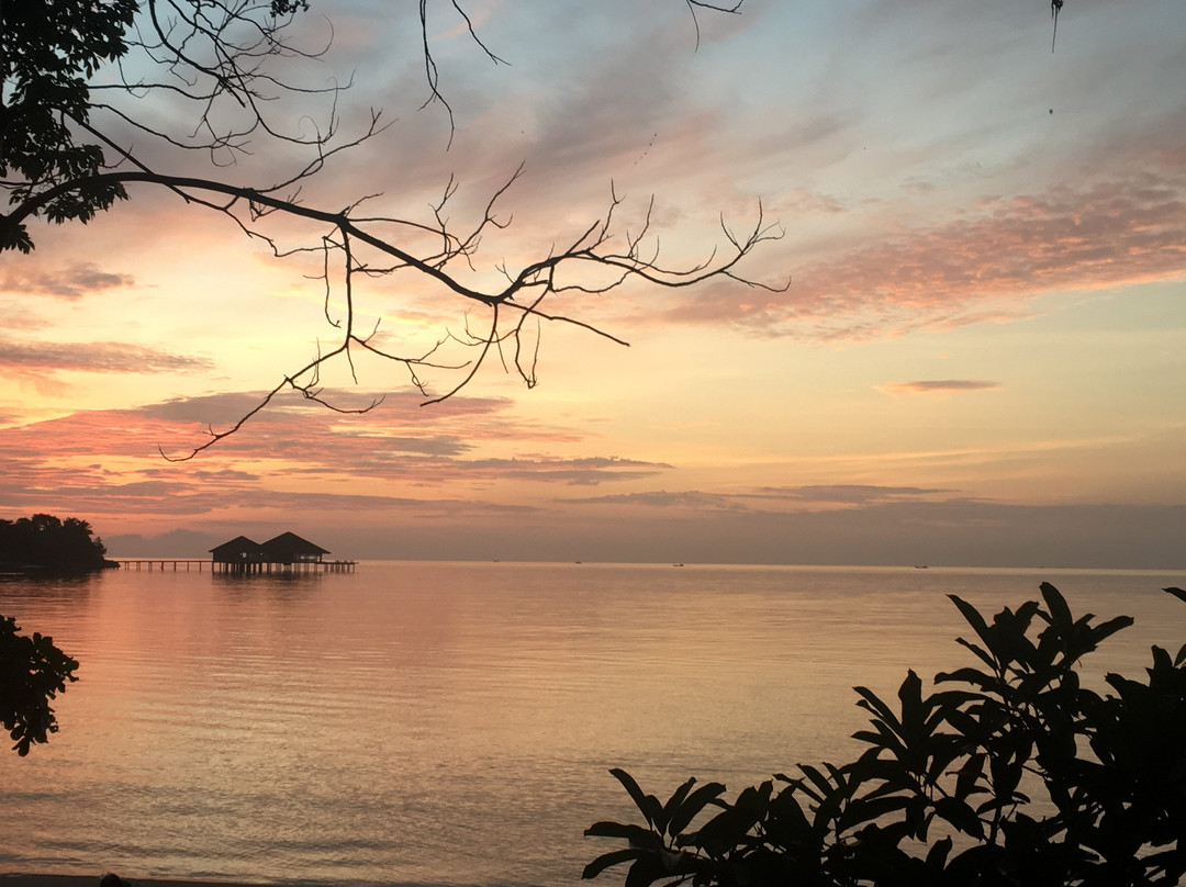 棕榈滩别墅度假村主图