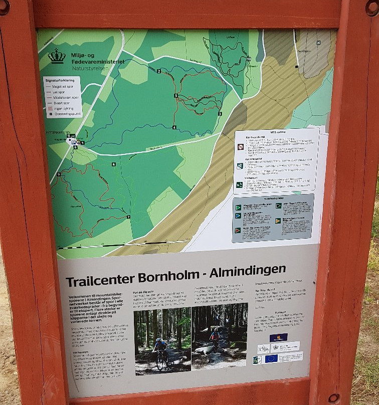 Almindingen Forest景点图片