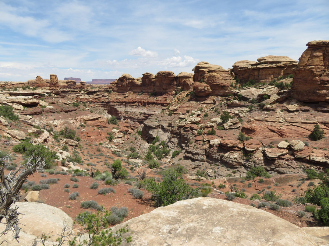 Big Spring Canyon Overlook-峡谷地国家公园必去景点