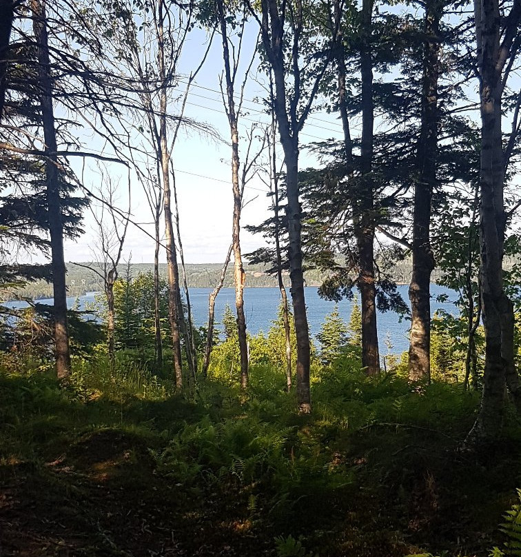 Battery Provincial Park-St. Peter's必去景点