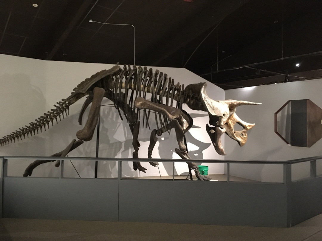 Pioneer Trails Regional Museum-Bowman必去景点