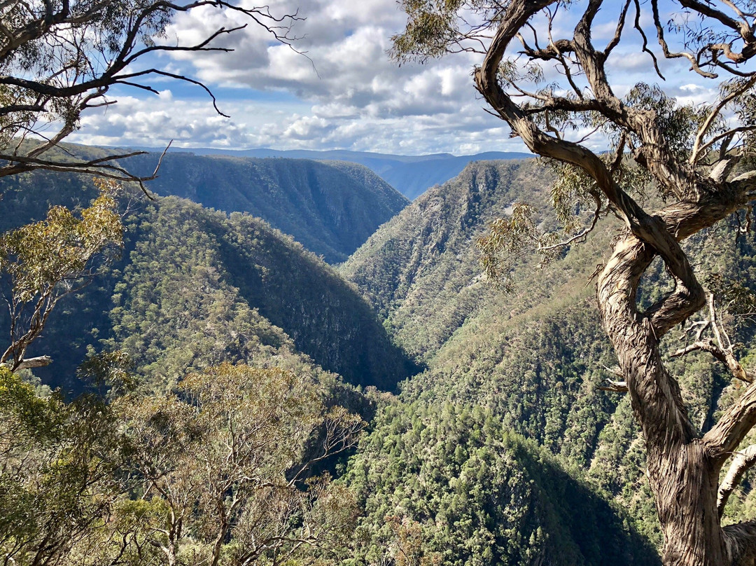 Oxley Wild Rivers National Park景点图片