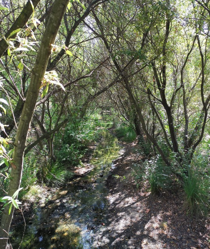 Jardin Botanico Dunas del Odiel景点图片