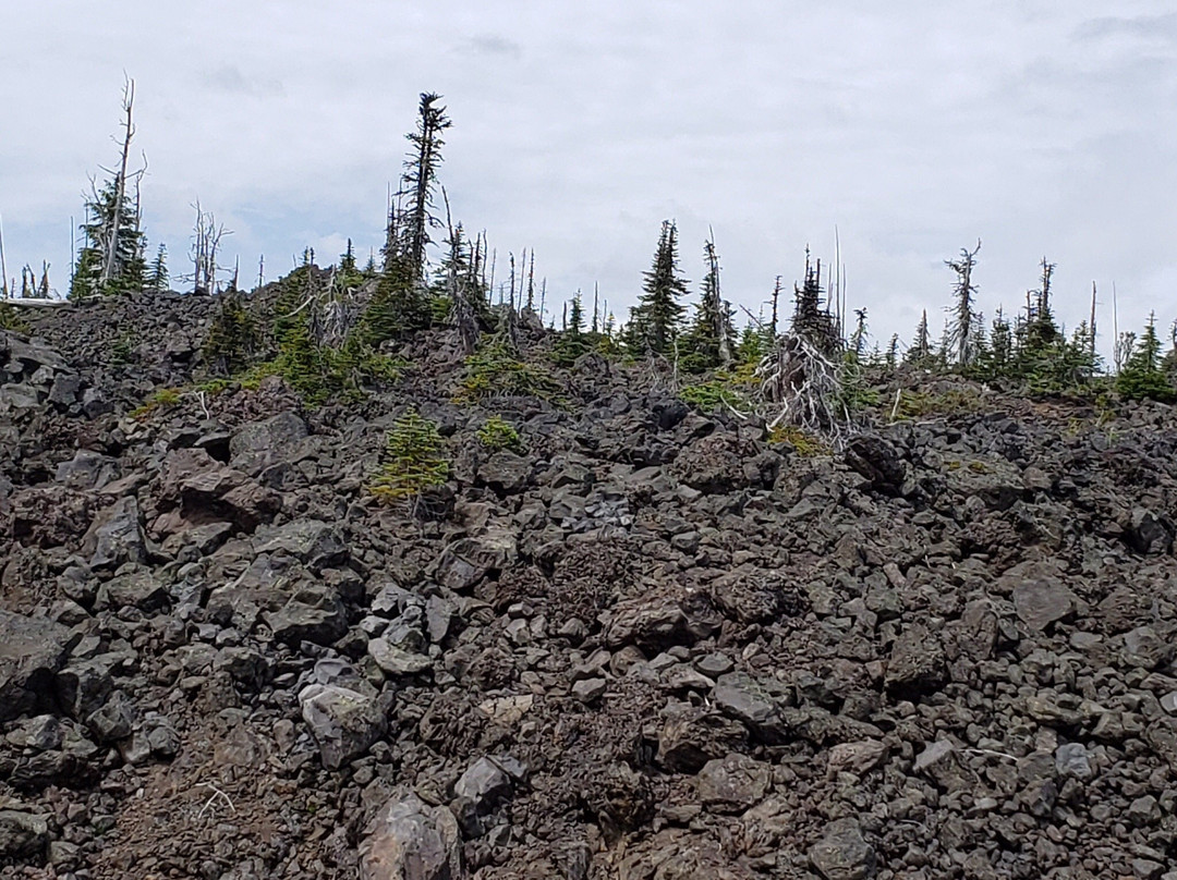 McKenzie Pass-Santiam Pass loop-Sisters必去景点