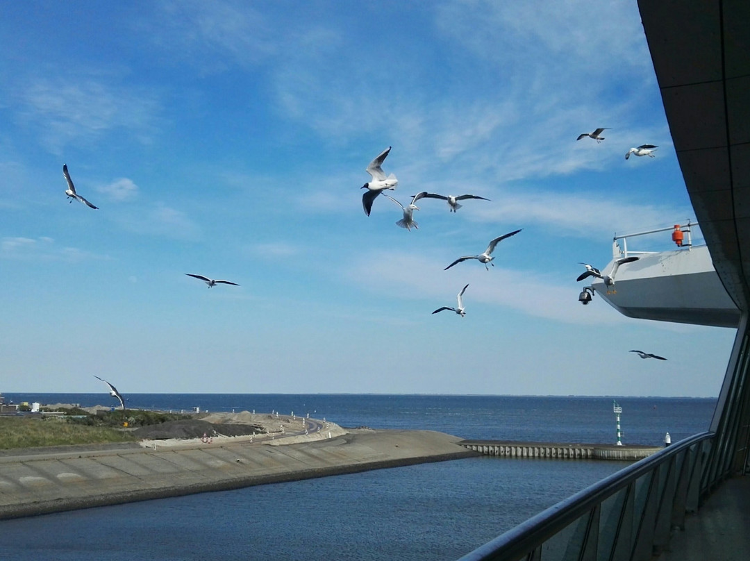 Teso Ferry Port-登海尔德必去景点
