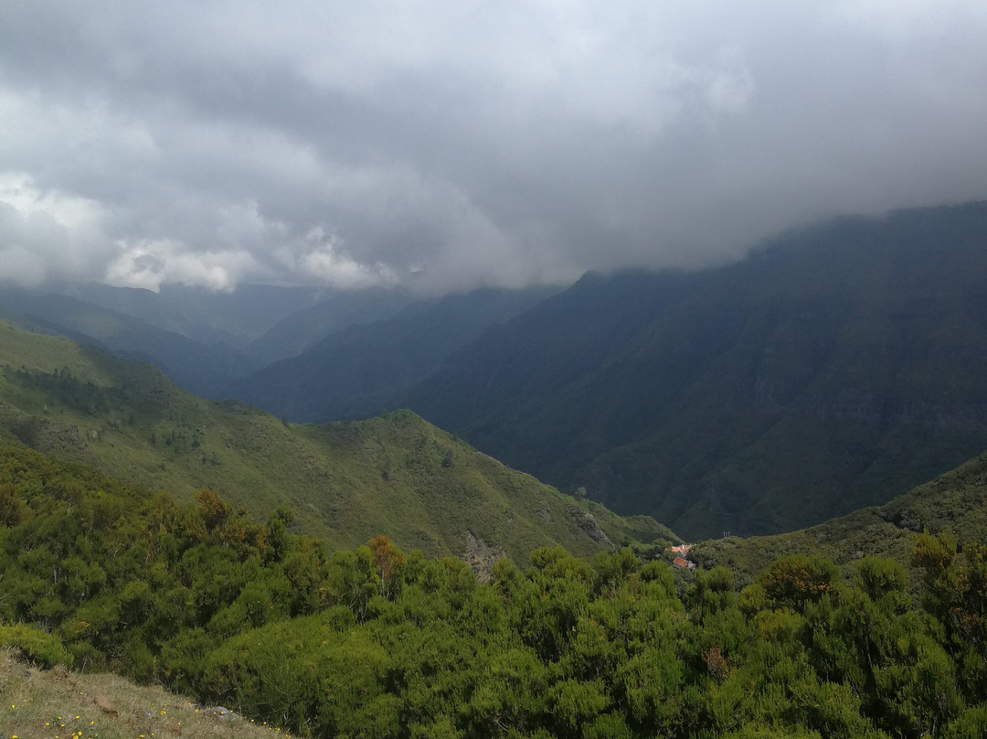 Madeira Happy Tours景点图片