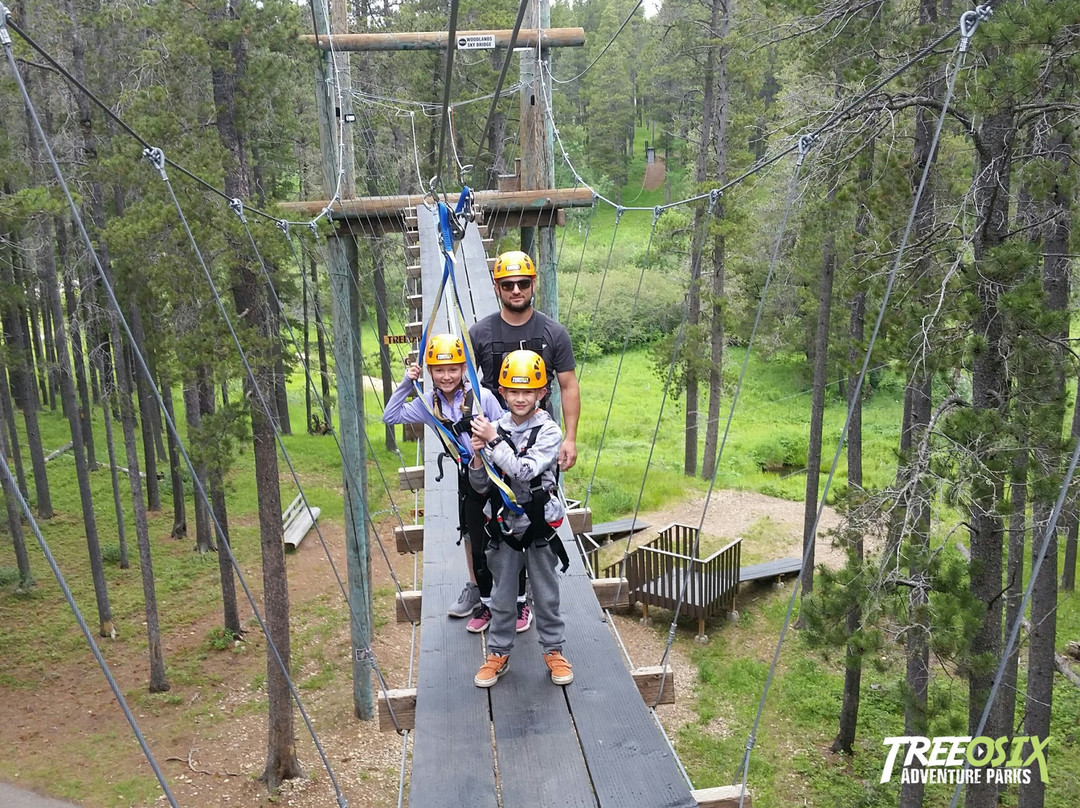 Treeosix Adventure Parks-Maple Creek必去景点