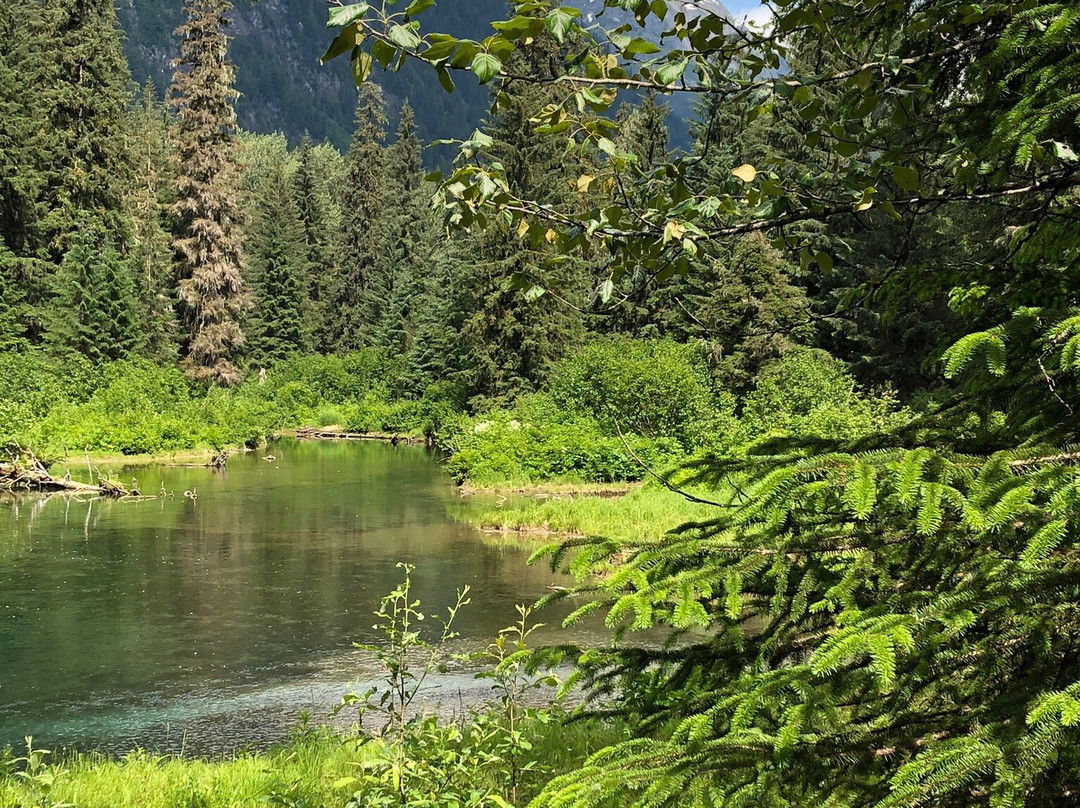 King Edward Hotel & Motel主图