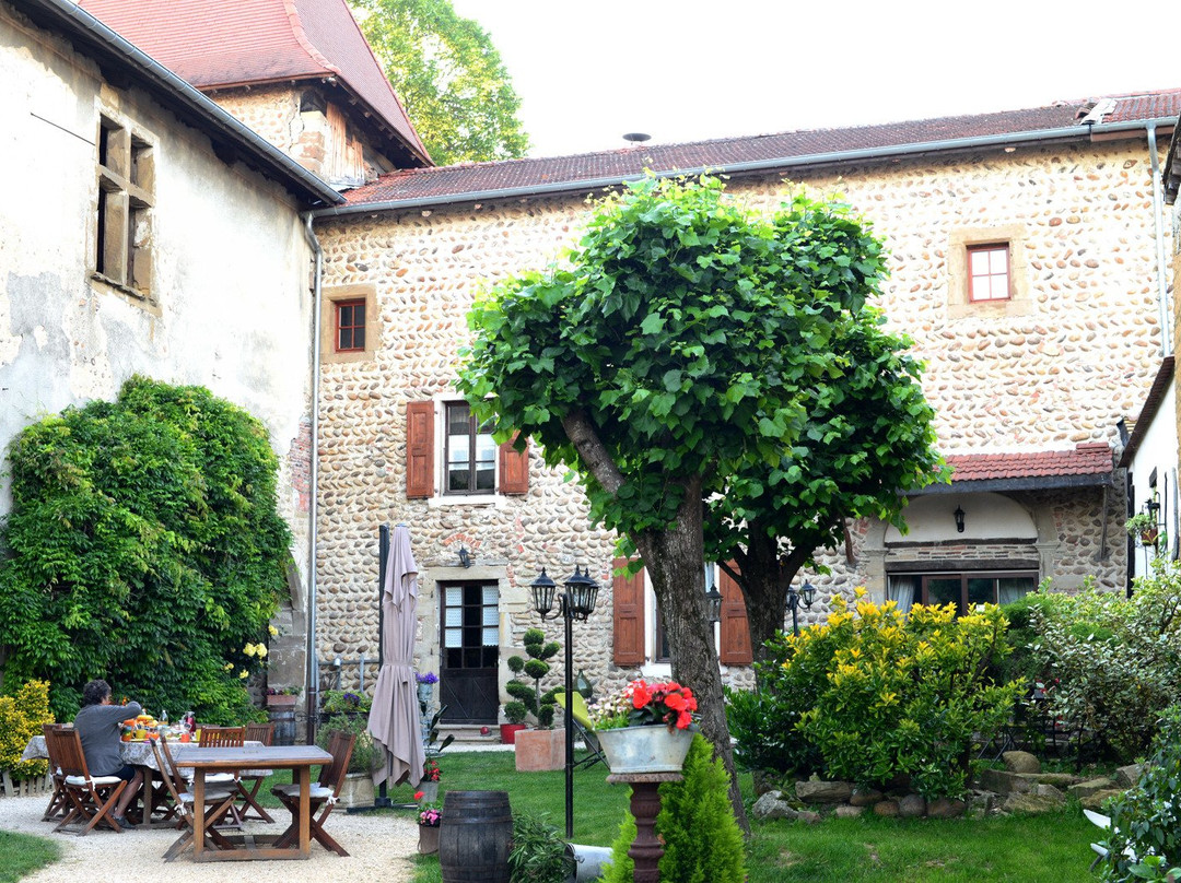 Château de la Saone主图