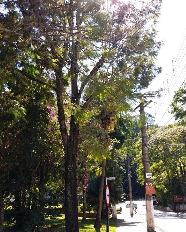 Praca Basilio Ceschin-Aguas da Prata必去景点