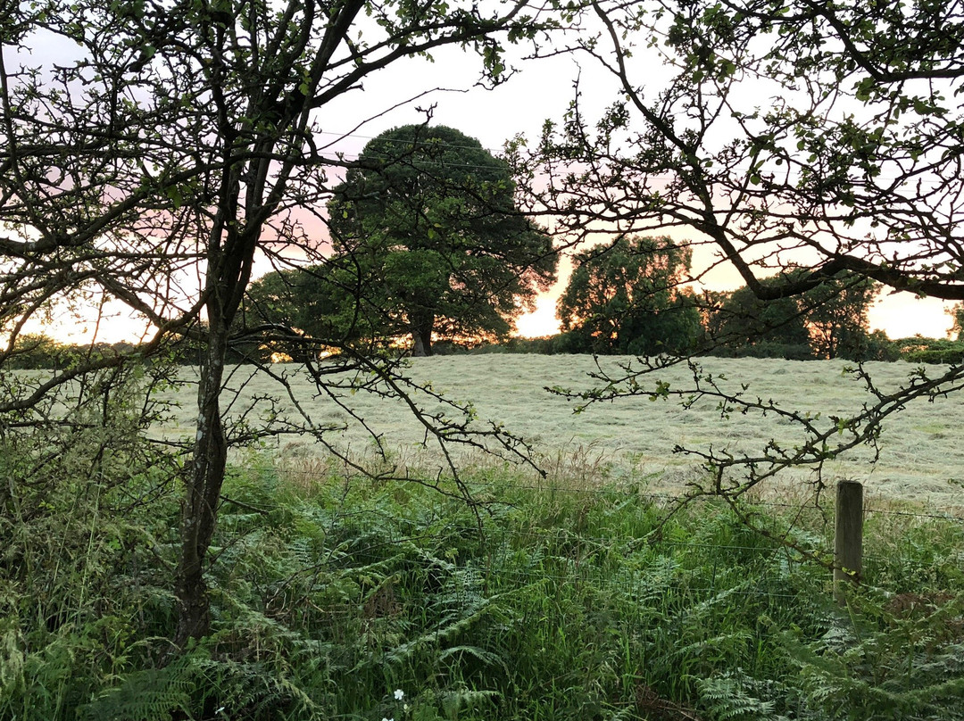 Cranberrymoss Camping & Caravan Club Site