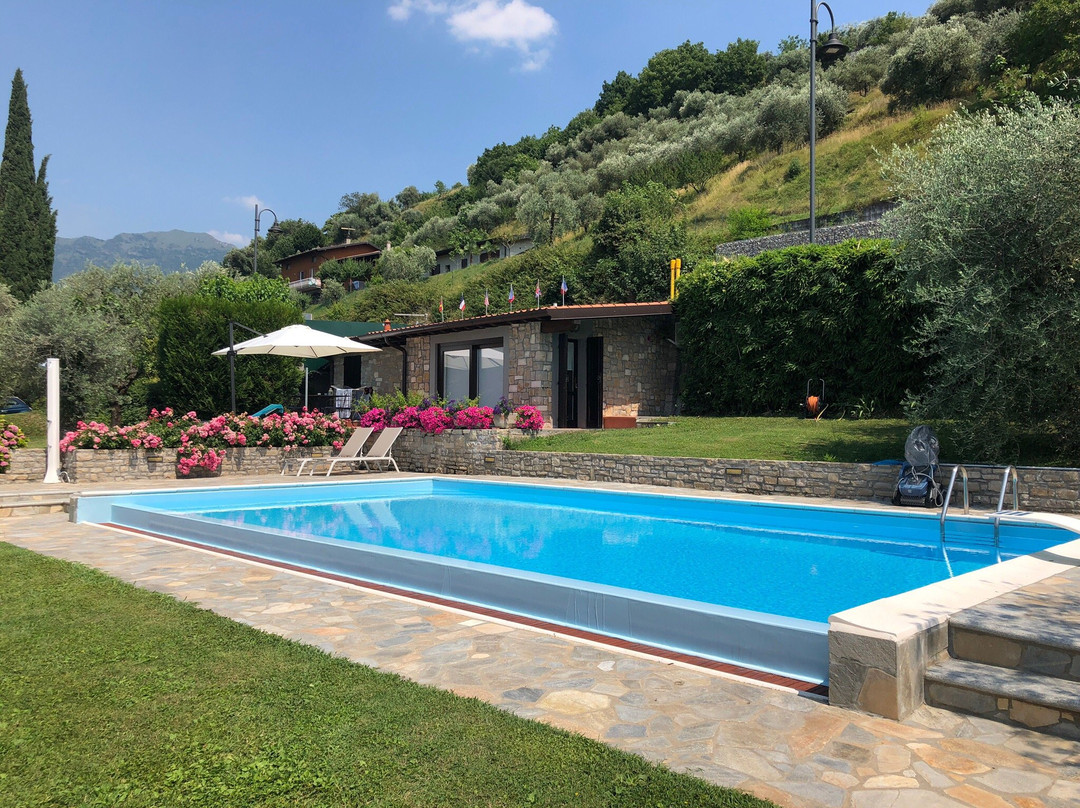 Paradise Coast主图