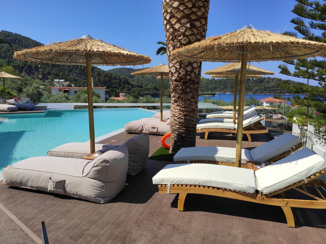 Panormos Beach Hotel Skopelos主图