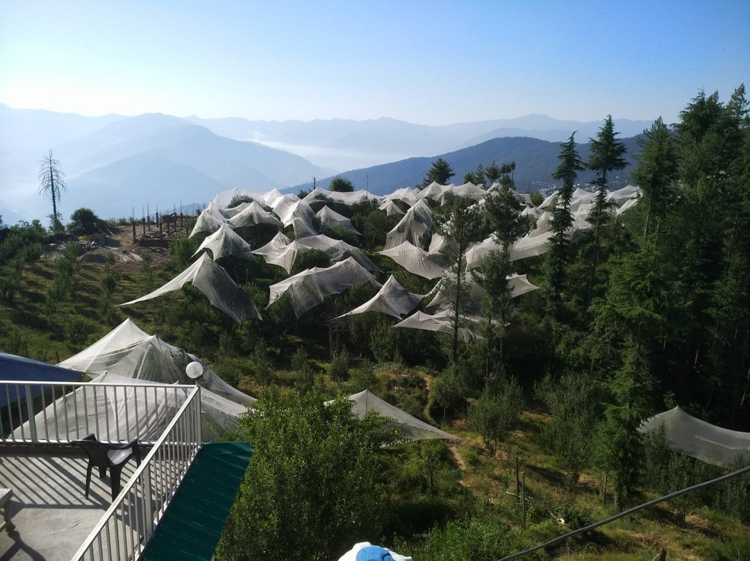 Northmoon Homestay Shimla主图