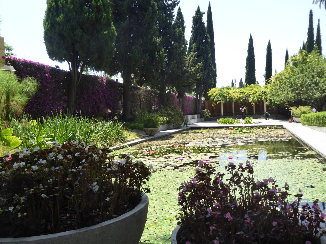 Jardin Botanico Historico La Concepcion景点图片