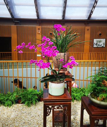 世界园艺博览会 2019-北京市必去景点