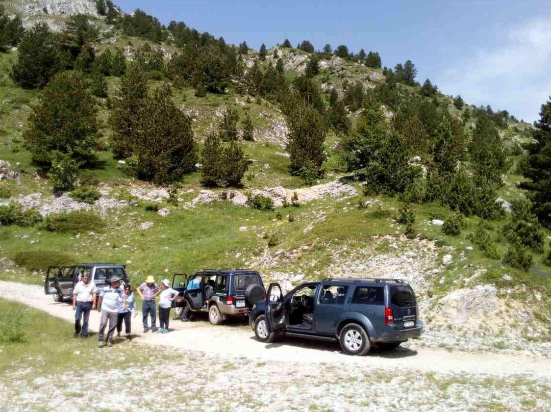 Tourist agency - North Tour Montenegro-Kolasin Municipality必去景点