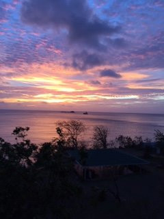 Green Roof Inn主图