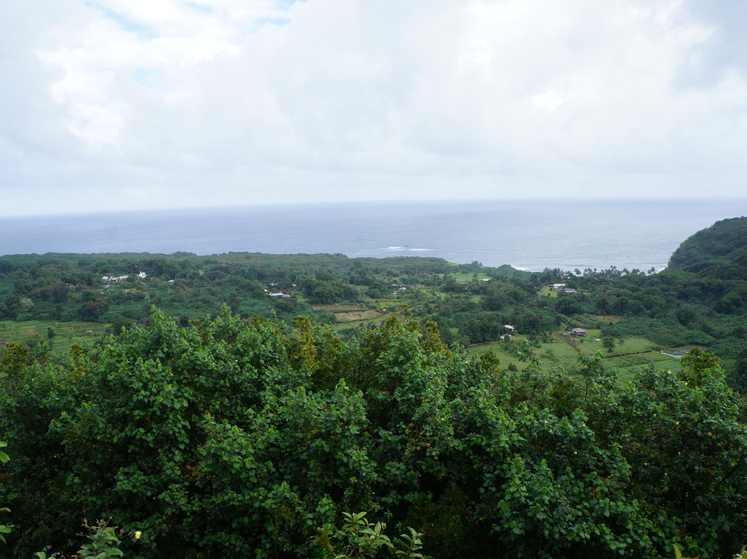Wailua Valley State Wayside Park-库拉必去景点