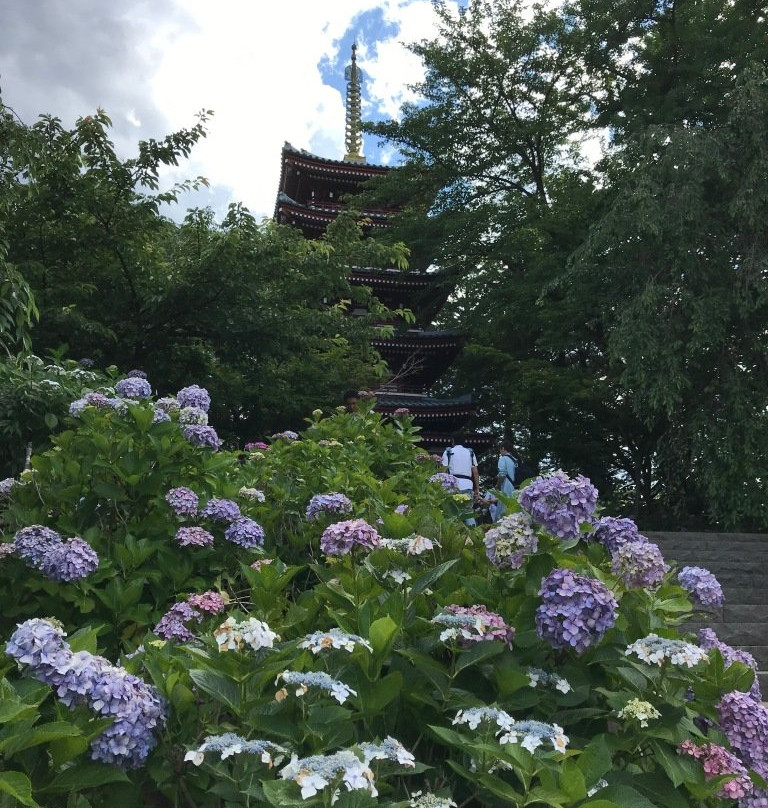 Hondo-ji Temple景点图片