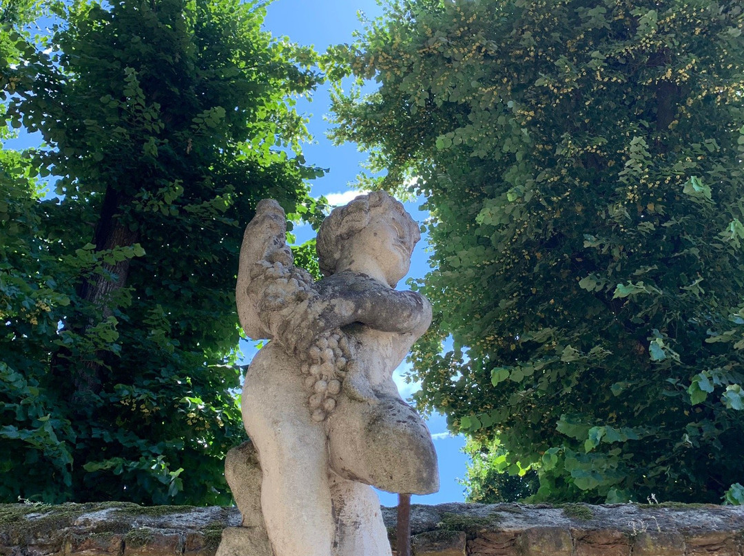 Castello di Gropello景点图片