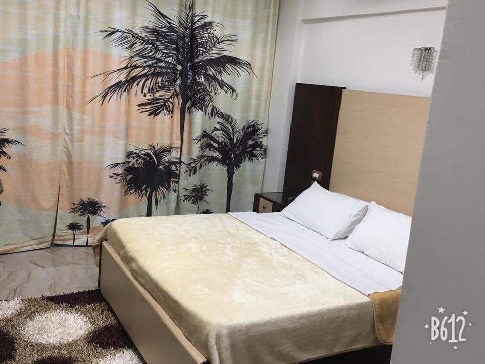 Dolphin Ras EL Bar主图