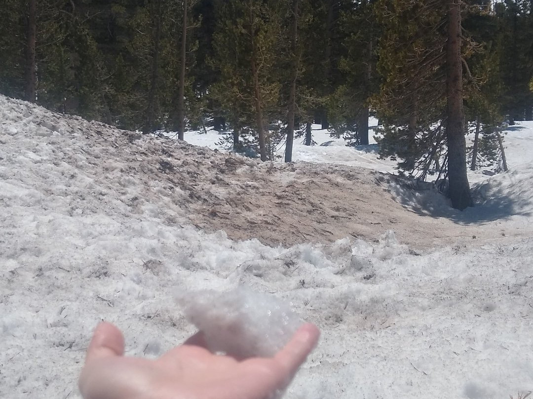 Toiyabe国家森林-斯帕克斯必去景点