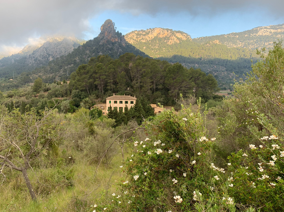 Agroturisme Finca Sa Maniga主图