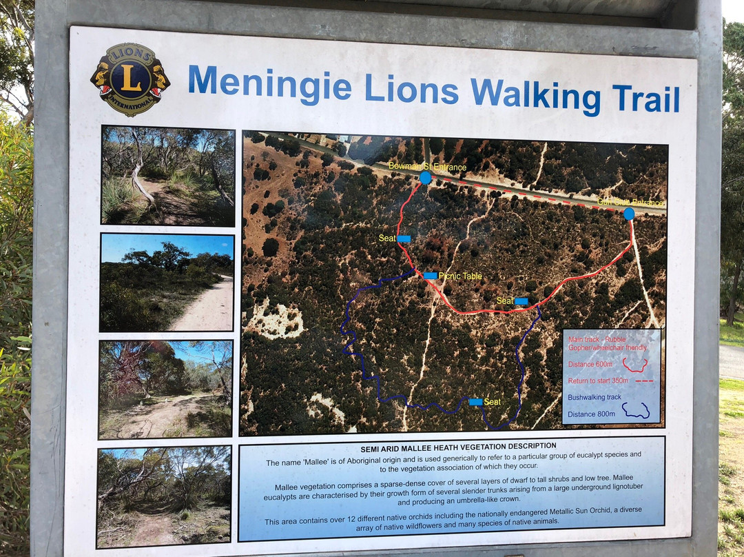 Meningie Lions Self-Guided Walking Trail景点图片