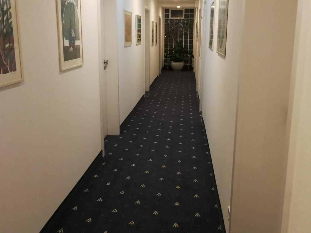 Hotel Adler Post主图