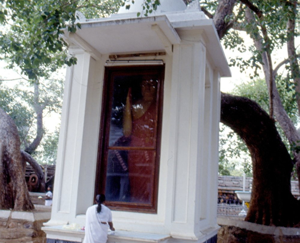 Jaya Sri Maha Bodhi景点图片