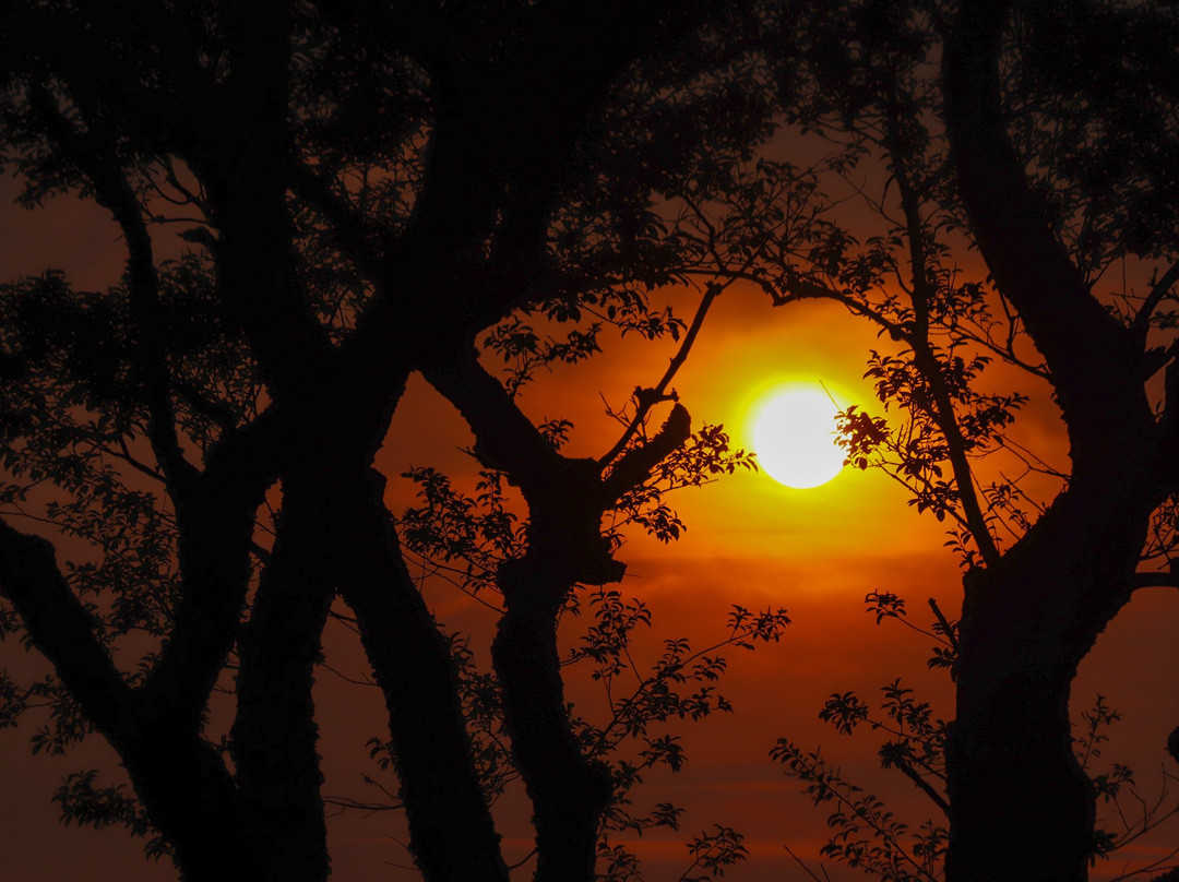 Point Judith Fisherman's Memorial-纳拉干西特必去景点