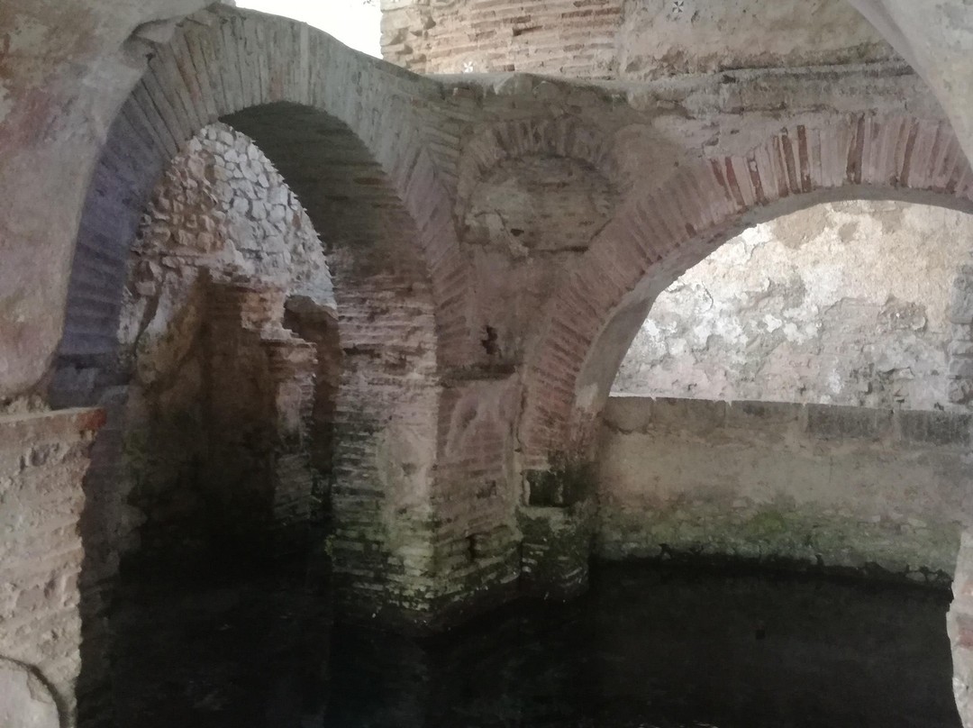 Battistero Paleocristiano San Giovanni in Fonte景点图片
