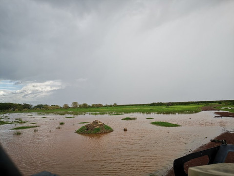 ZAFRICA TOURS AND SAFARIS-石头城必去景点