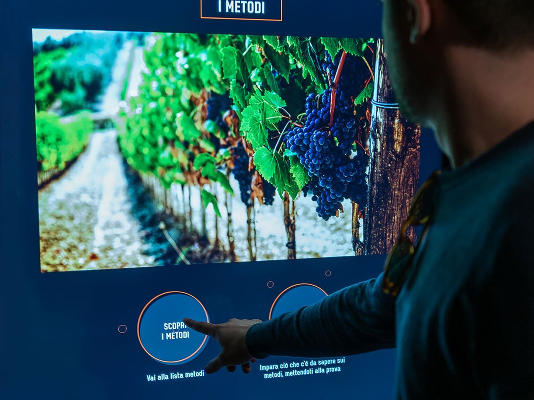 Museo Wine Experience by Mondodelvino-Priocca必去景点
