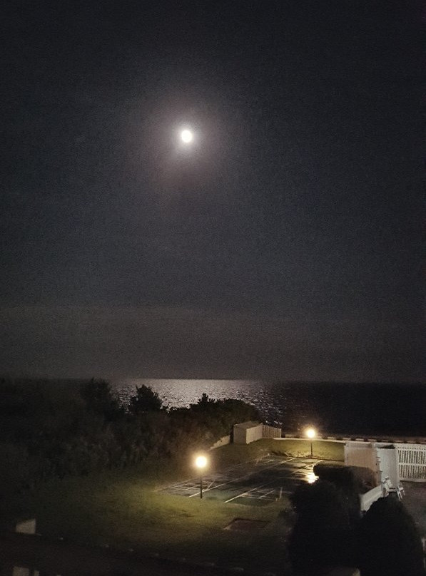 Surfcomber on the Ocean主图