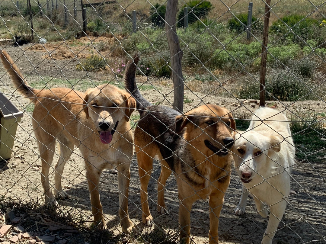 SFT - Tangier Wildlife Sanctuary-丹吉尔必去景点