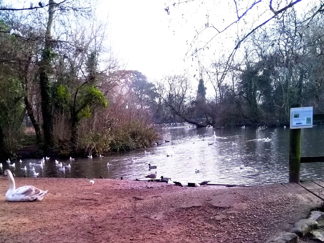 Hampden Park景点图片