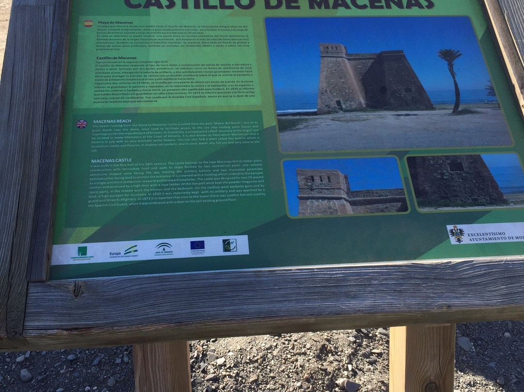 Torre de Macenas景点图片