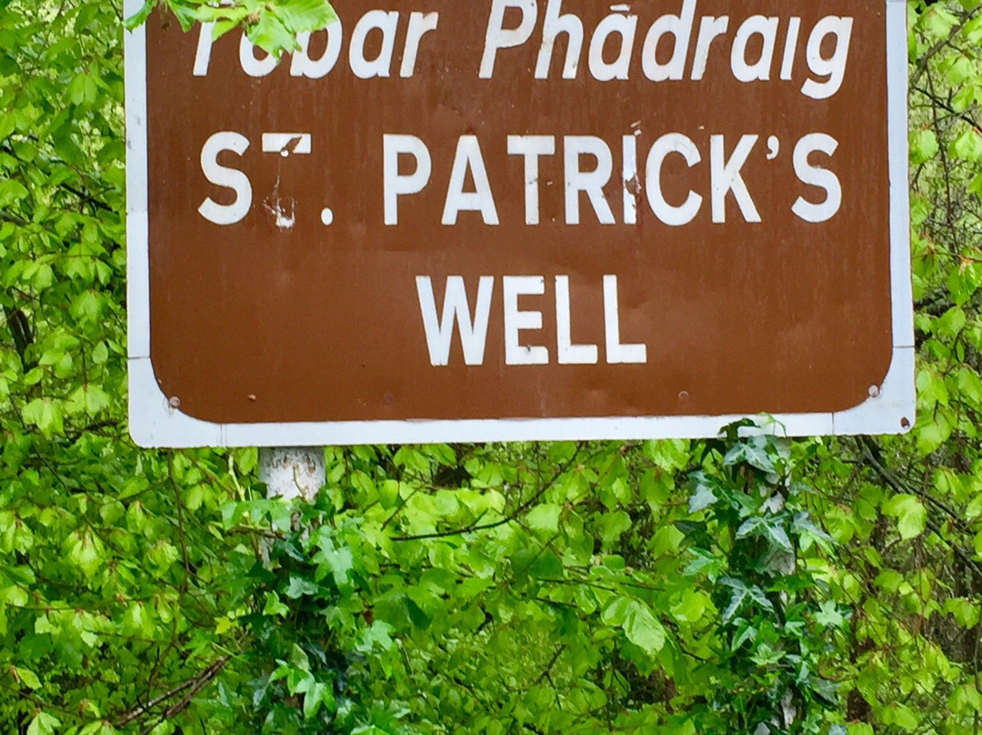 St. Patrick's Well景点图片