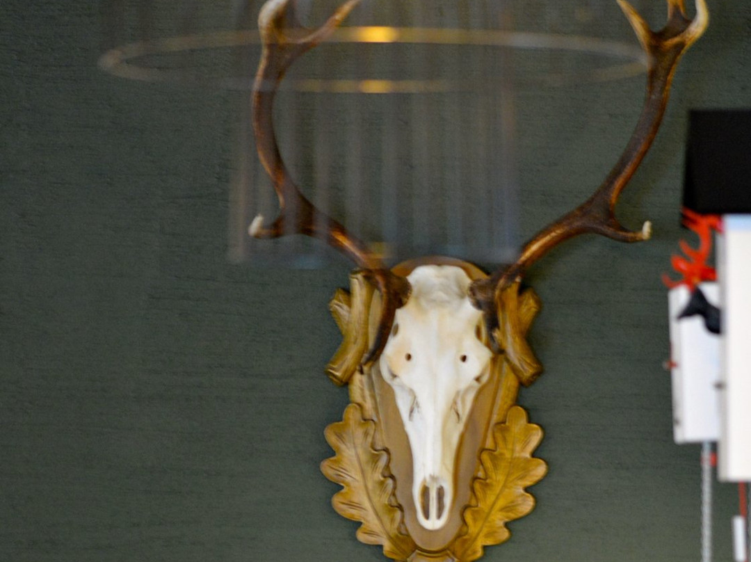 Gasthof Hotel Hirschen主图