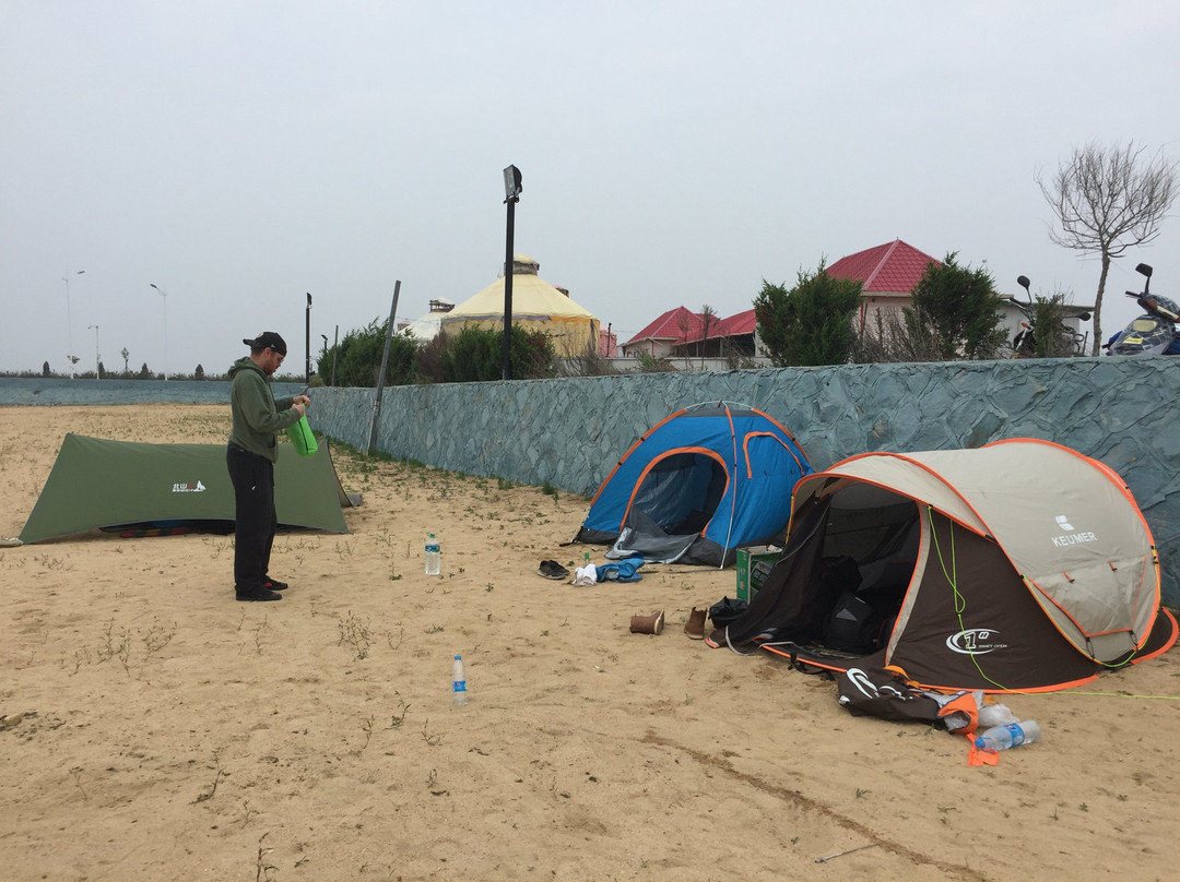 皮口港-普兰店市必去景点