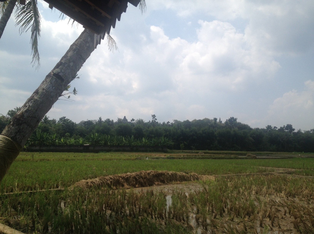 Gopalan Borobudur主图