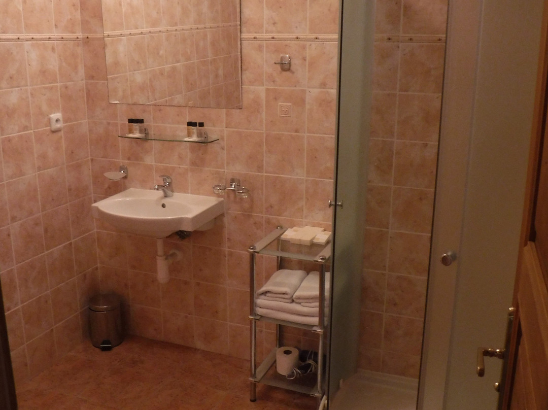 Hotel U Zlateho lva主图