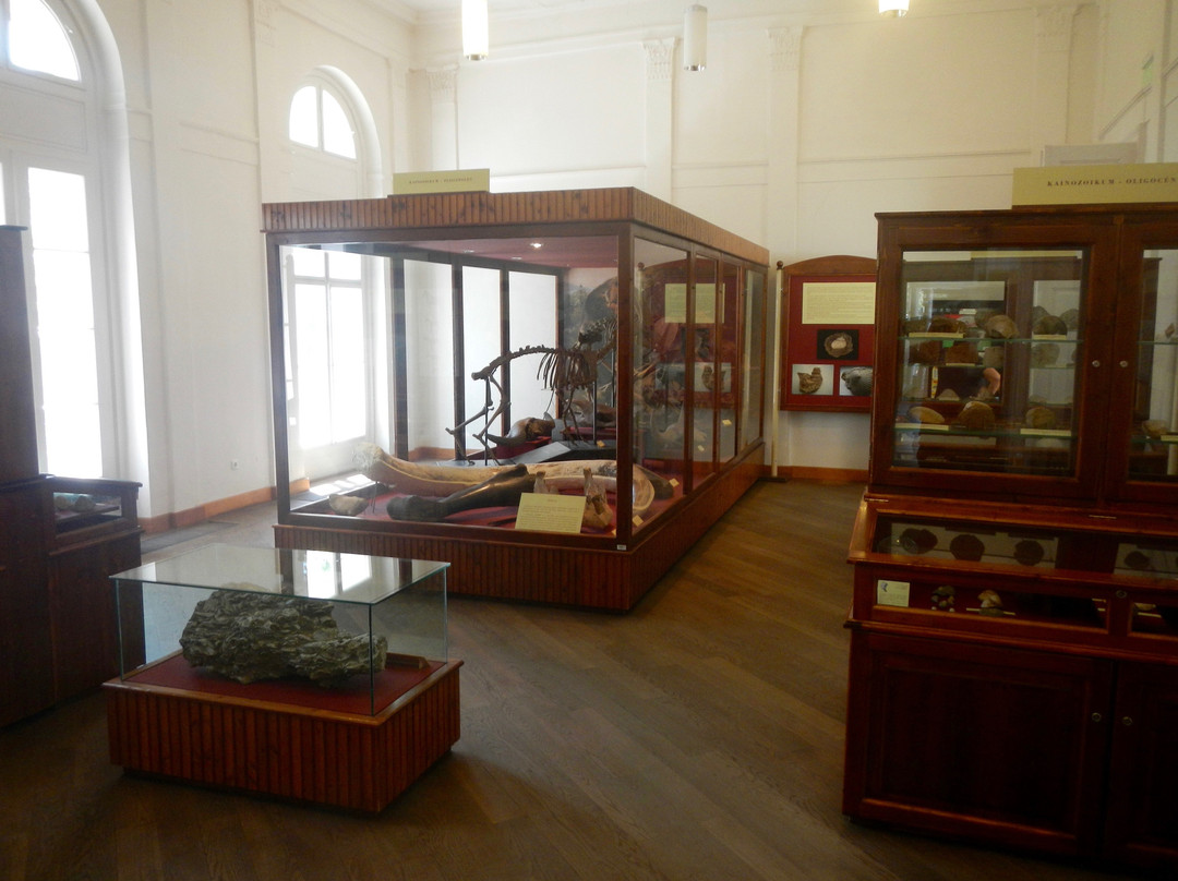 Matra Muzeum景点图片