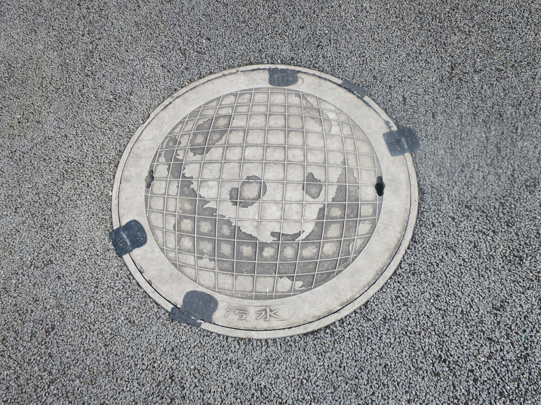 中国大熊猫保护研究中心都江堰基地