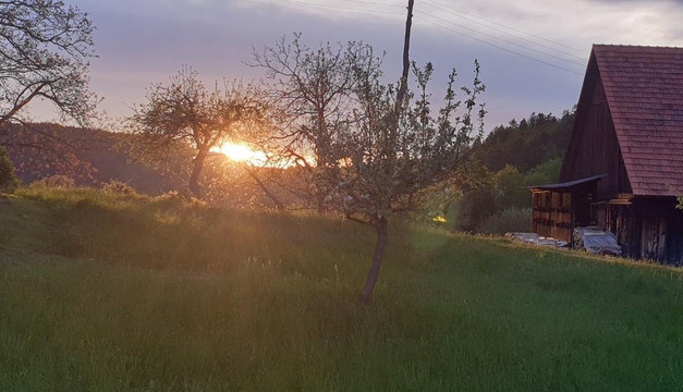 Bike tours Pohorje Maribor-马里博尔必去景点